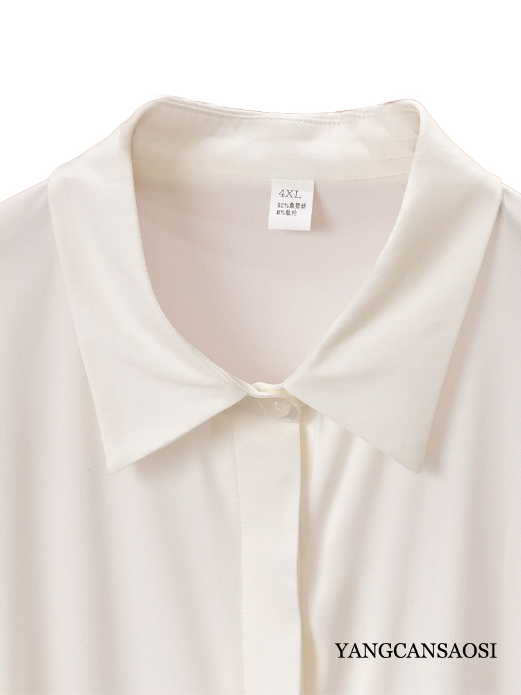 Plus Size Damenmode Frühherbst – Silk Blouse Bewertung und Preis